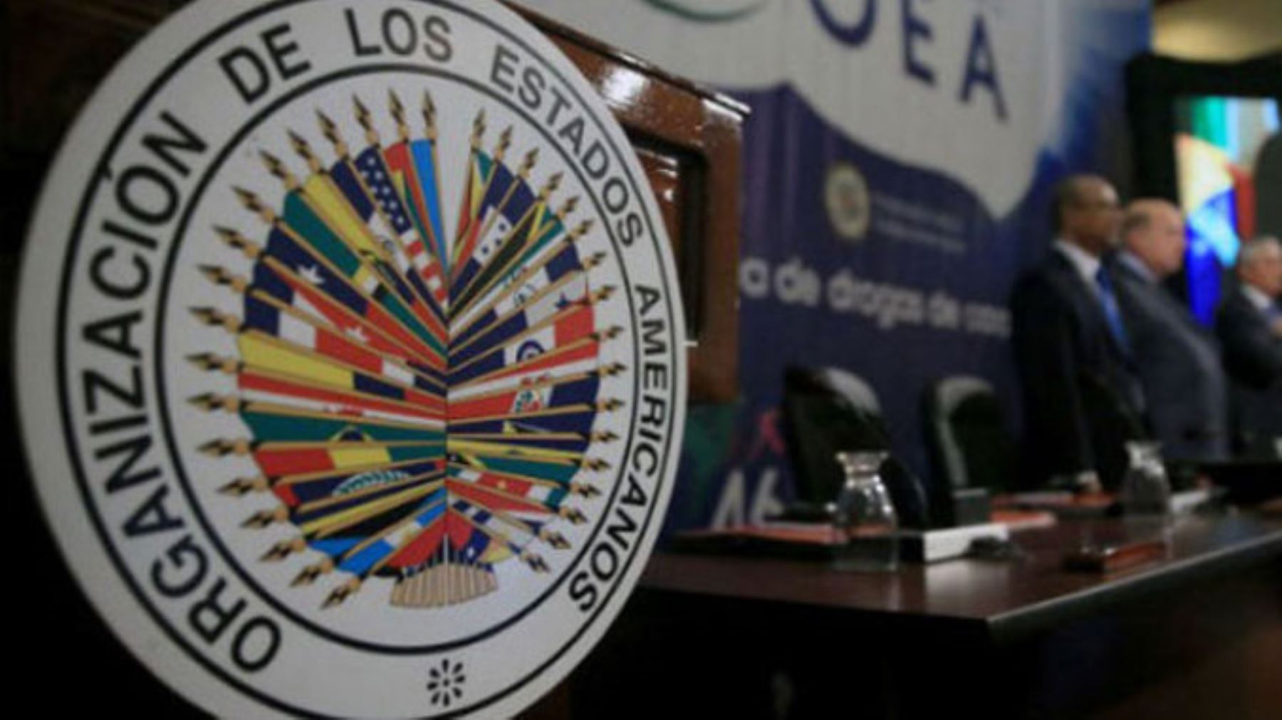 La Oea Quería Hacer Una Auditoría Integral Pero El Gobierno Negocia Límites — Guardiana 1990