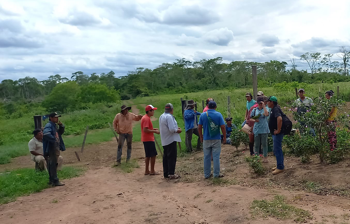 Fundación Tierra El Agropoder Es Parte De Los Conflictos Por Los Avasallamientos — Guardiana 4303